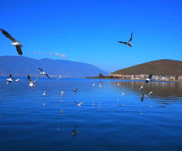 昆明商業項目策劃方案