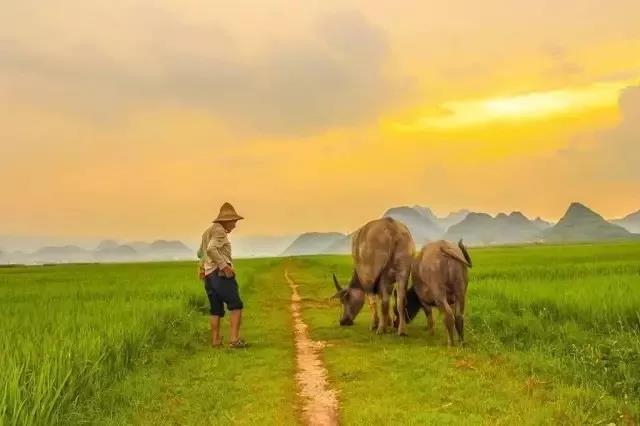 昆明文山普者黑研學(xué) 昆明文山普者黑研學(xué)