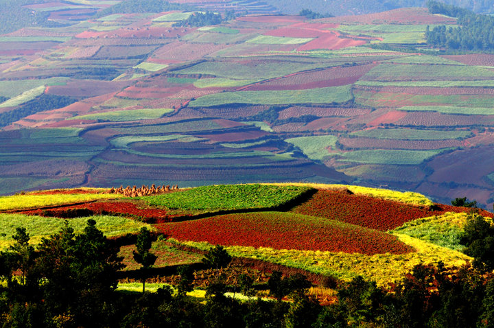 研學旅行有什么意義？為什么要提倡研學旅行？