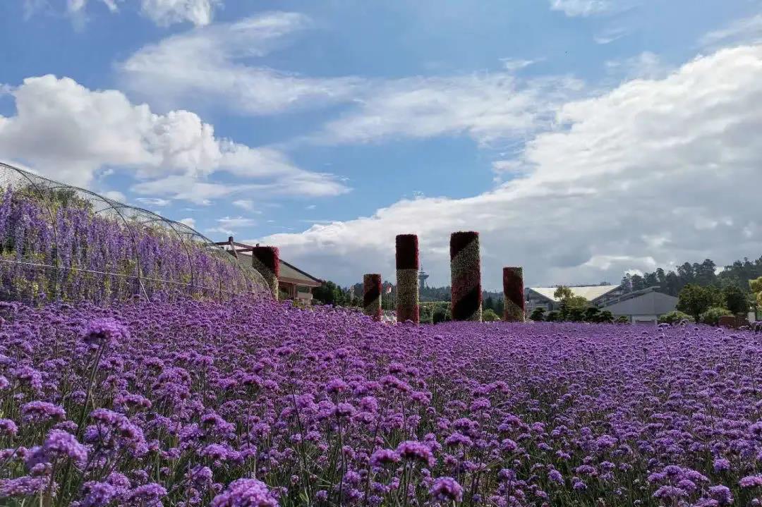 昆明周末休閑度假游，體驗(yàn)另一種昆明度假風(fēng)情。