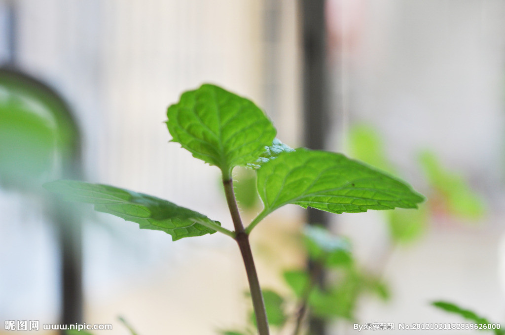 在昆明舉辦研學旅行有哪些優勢？