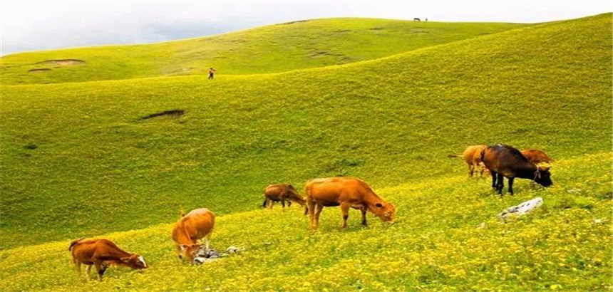 這里藏有三峽風(fēng)光、草原景致，卻少有人知道！昆明出發(fā)1小時(shí)就能到！
