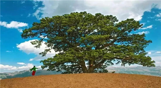 昆明旅游 昆明旅游