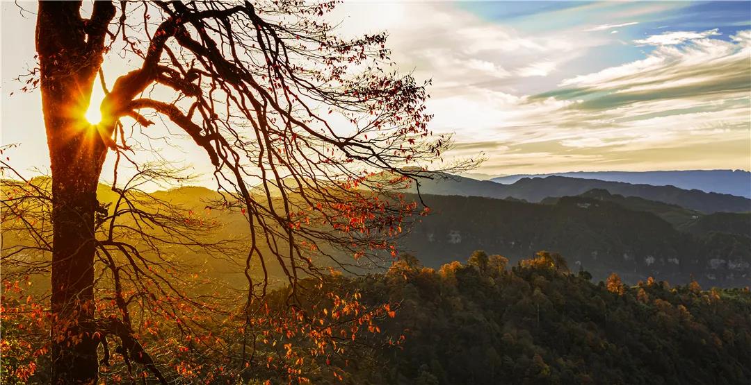 云南的秋天在哪里，它最先抵達(dá)了這里     昆明傳媒公司