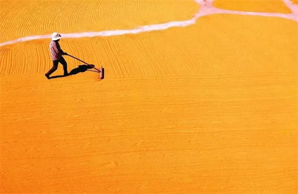 云南少數(shù)民族秋收習(xí)俗知多少？快來看看吧！